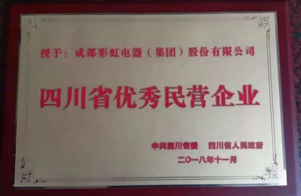 成都PG电子集团荣获“四川省优秀民营企业”称号、公司董事长刘荣富荣获“四川省优秀民营企业家”称号