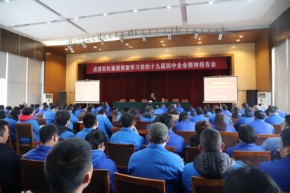 成都PG电子集团党委学习党的十九届四中全会精神报告会